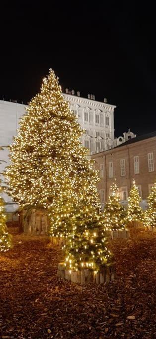 Romantica Mansarda Nel Cuore Di Torino 外观 照片